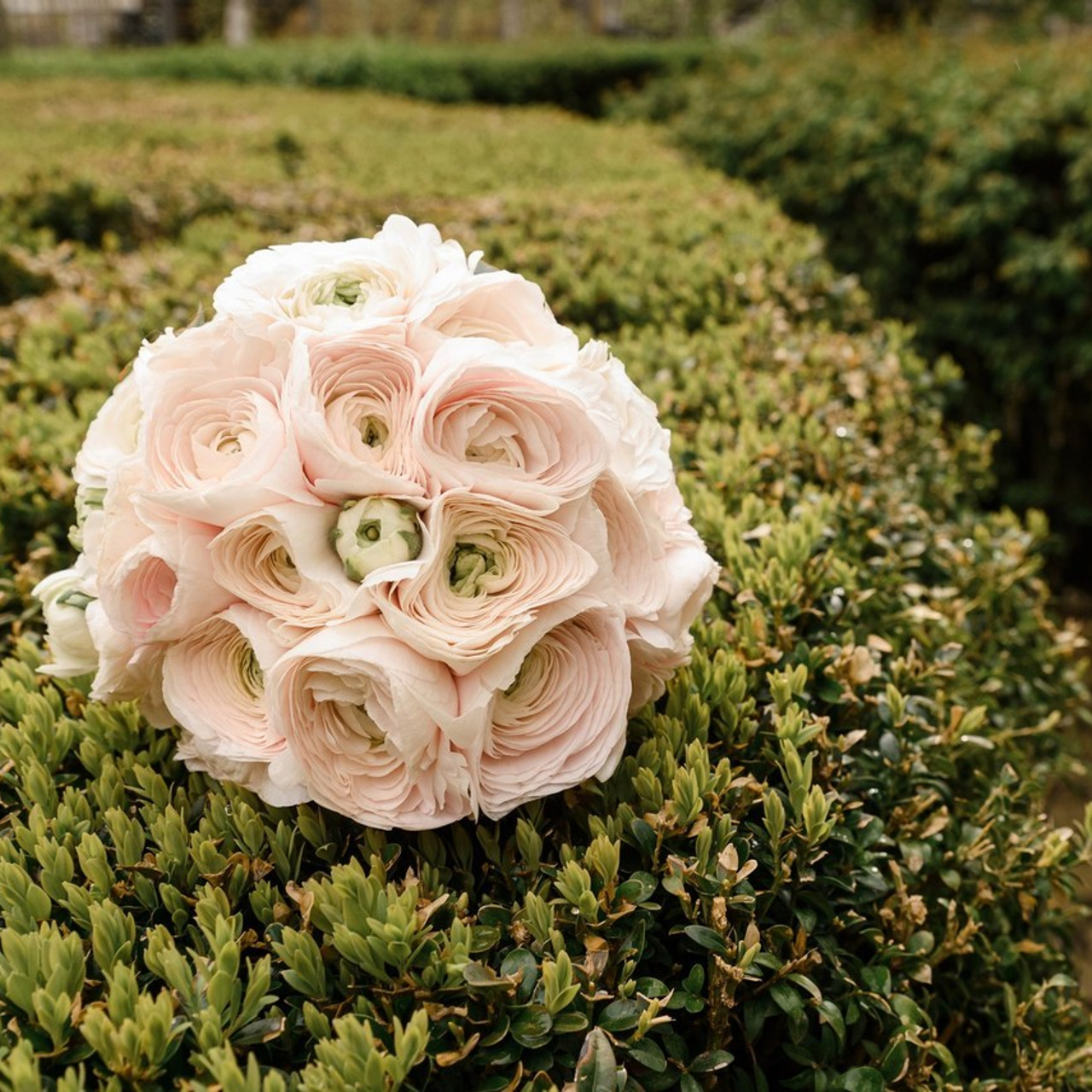 Отзывы. Свадебный и семейный фотограф в Славянске-на-Кубани Прохорова Алёна