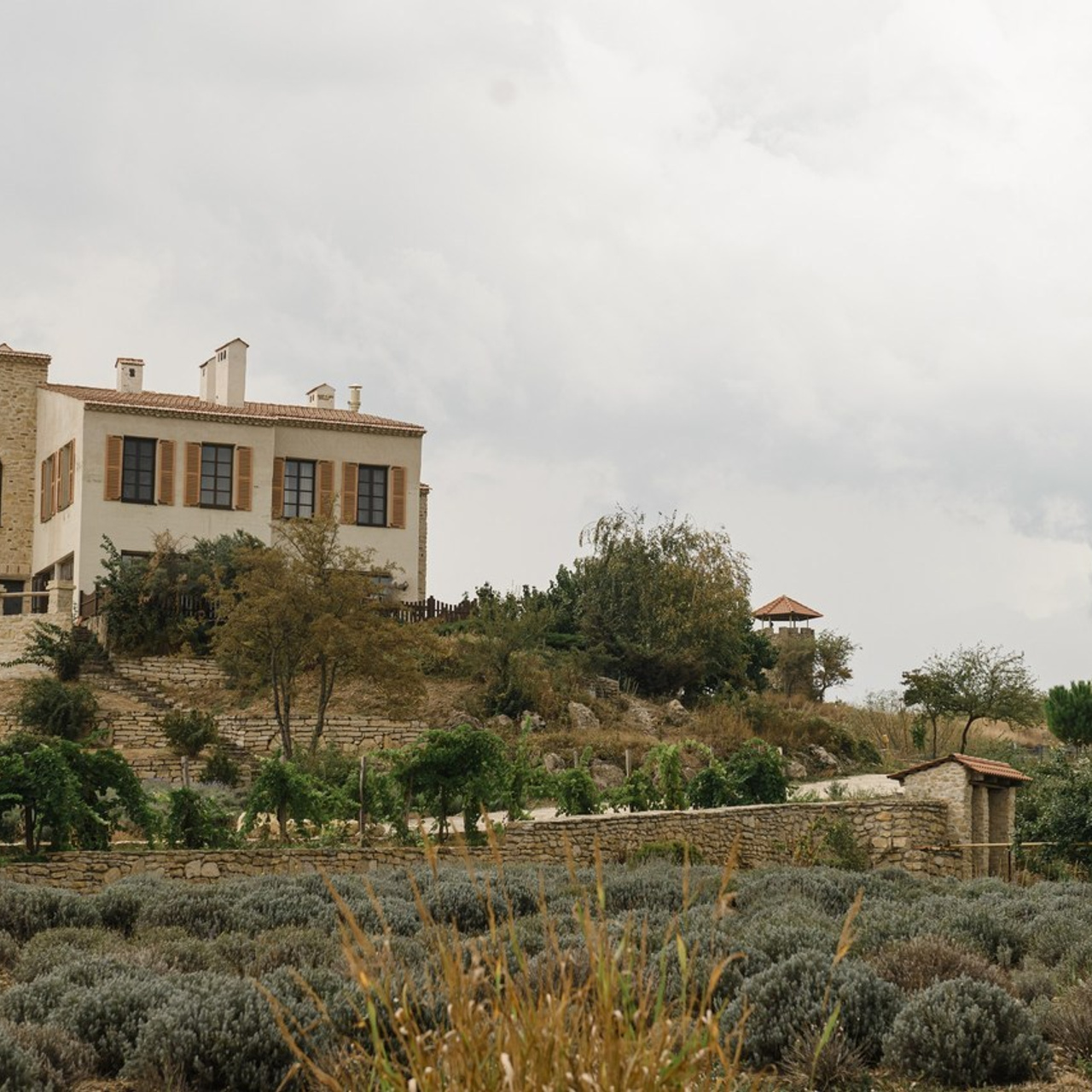 Отзывы. Свадебный и семейный фотограф в Славянске-на-Кубани Прохорова Алёна