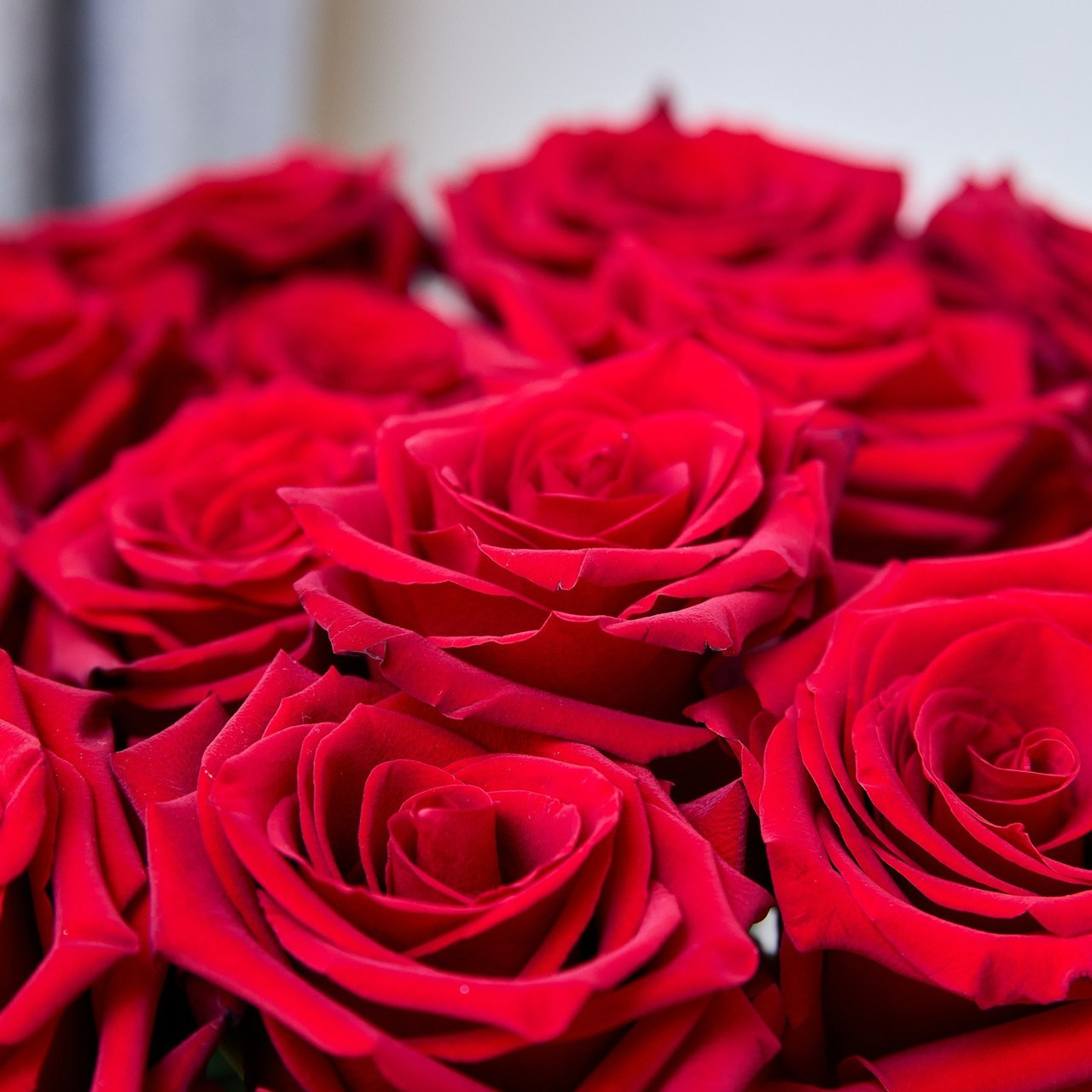 Отзывы. Фотограф в Белгороде — Андрей Бобрешов