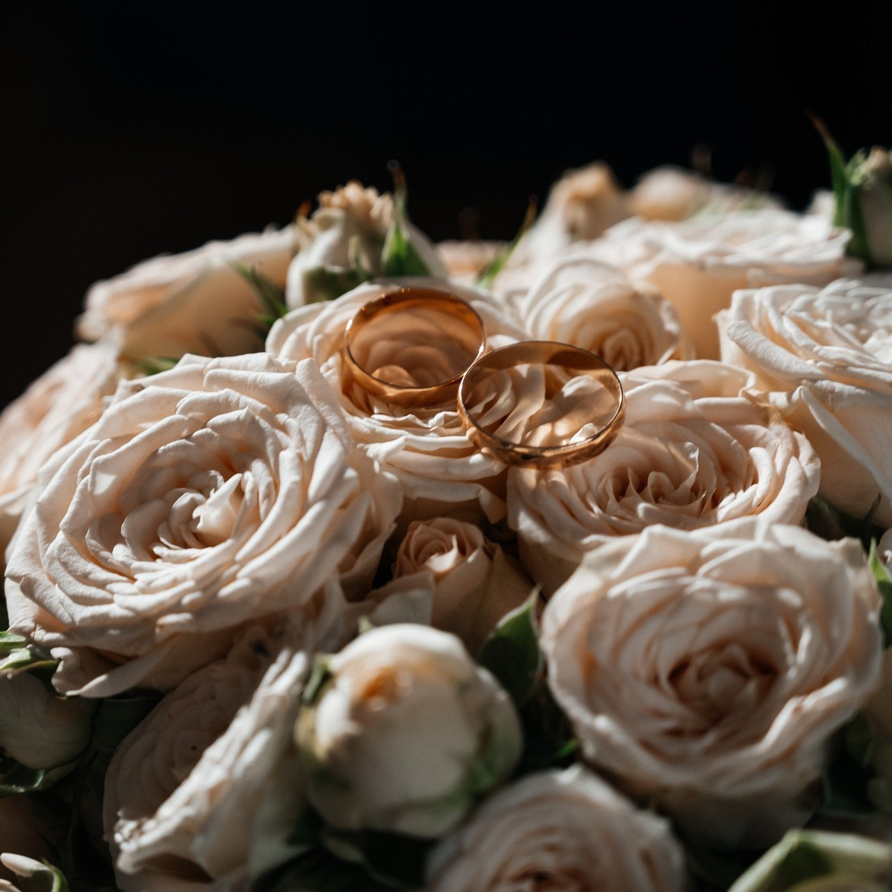 Отзывы. Семейный фотограф в Оренбурге Анна Рожкова