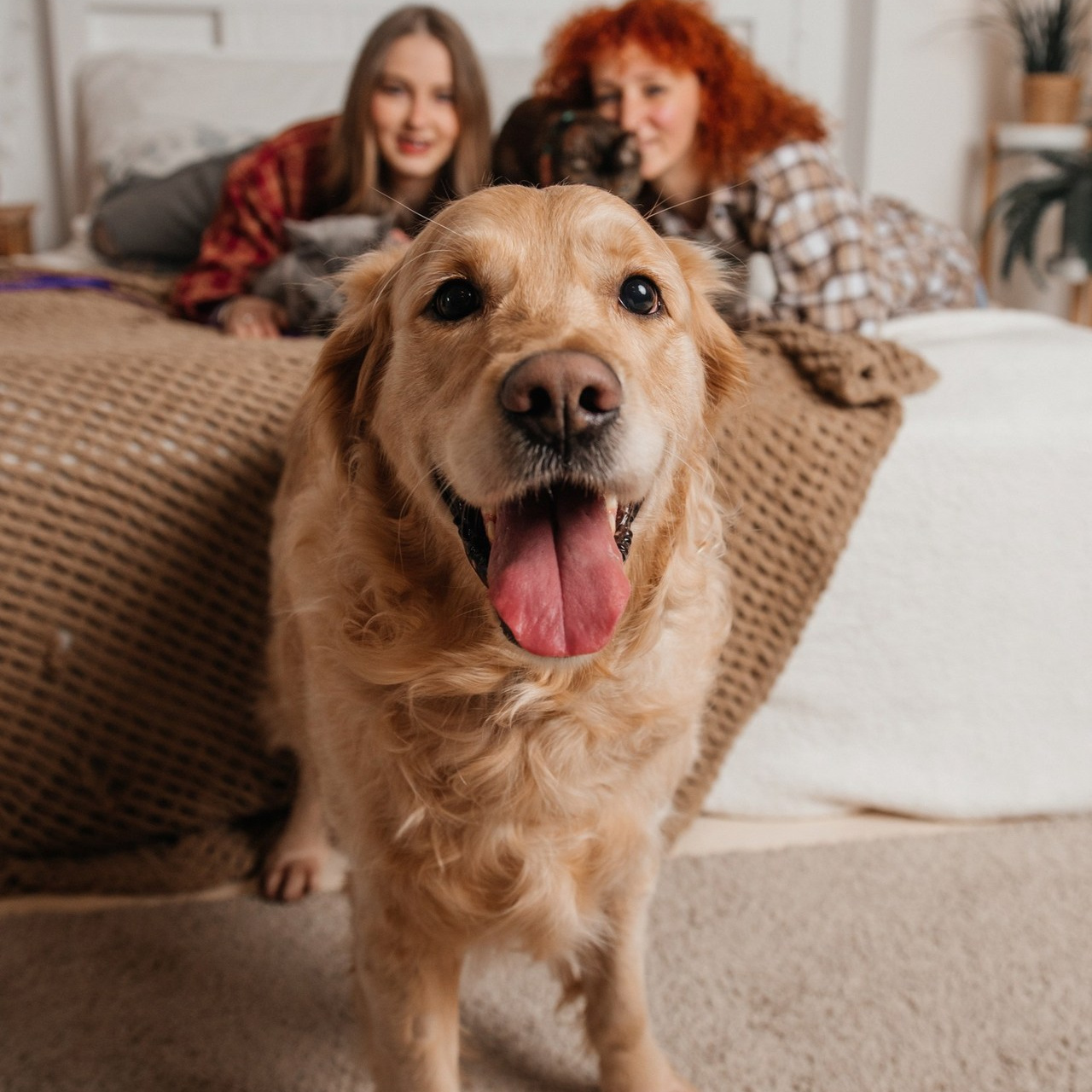 Отзывы. Портретный и семейный фотограф в Санкт-Петербурге Марина Никифорова