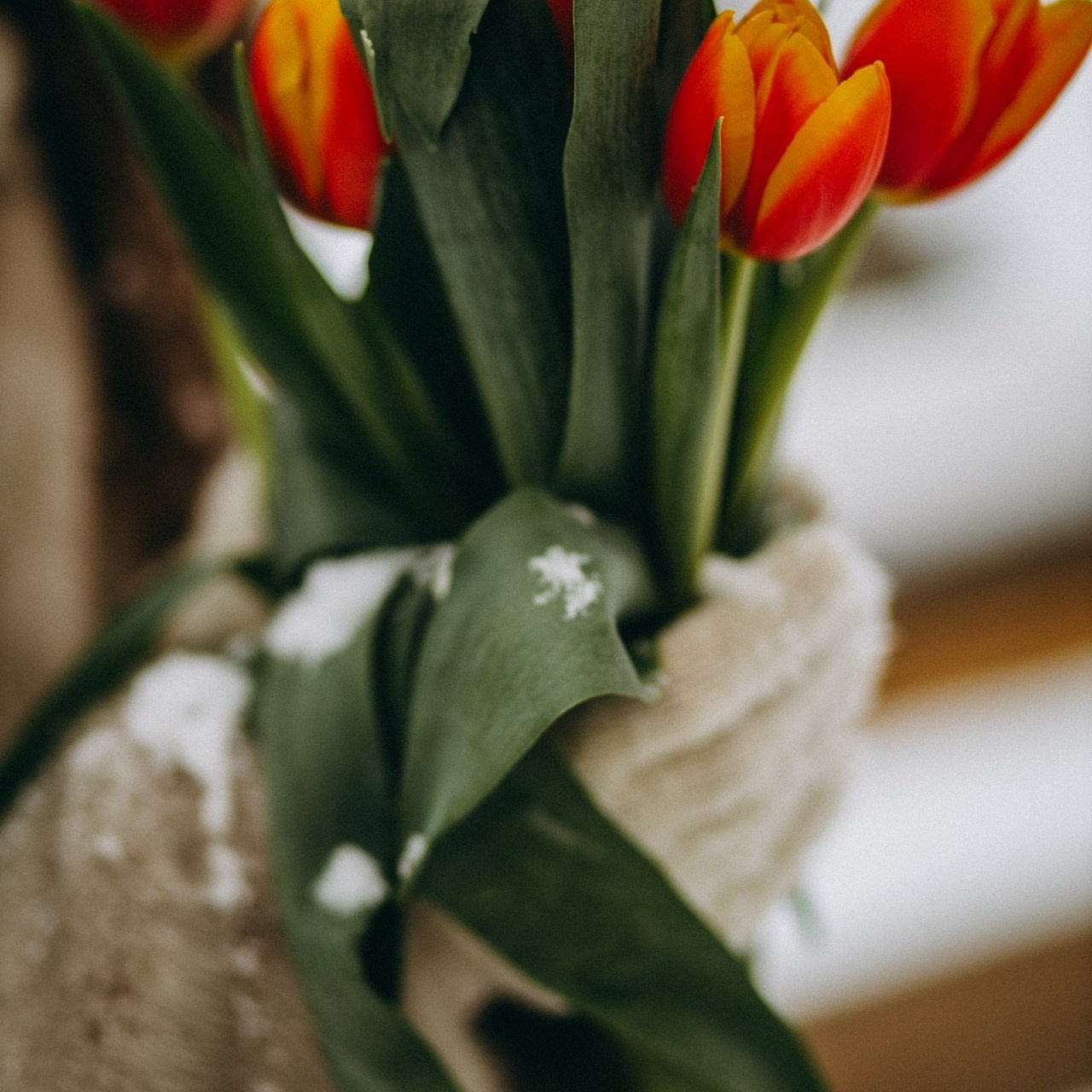 Отзывы. Свадебный и семейный фотограф Ставрополь Невинномысск Эмилия Юн