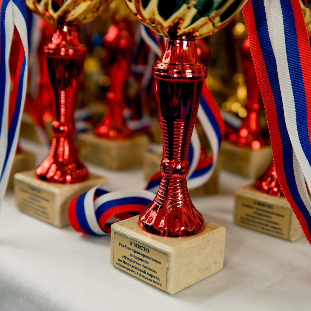 Отзывы. Свадебный и семейный фотограф Ставрополь Невинномысск Эмилия Юн