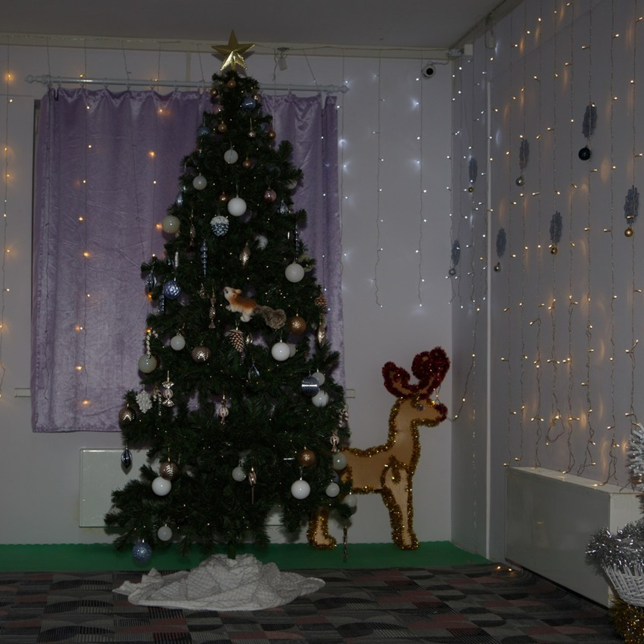 Отзывы. Фотограф Дарья Улюсова