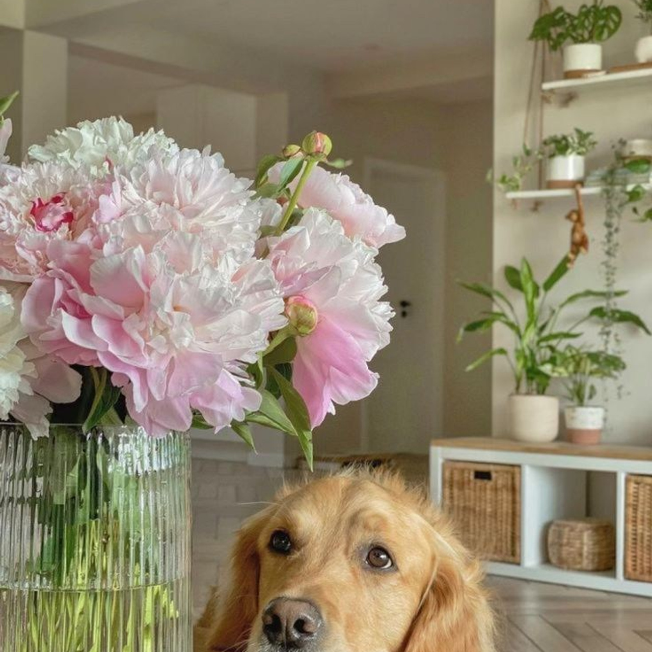 Курс «МОБИЛЭНД». Главная