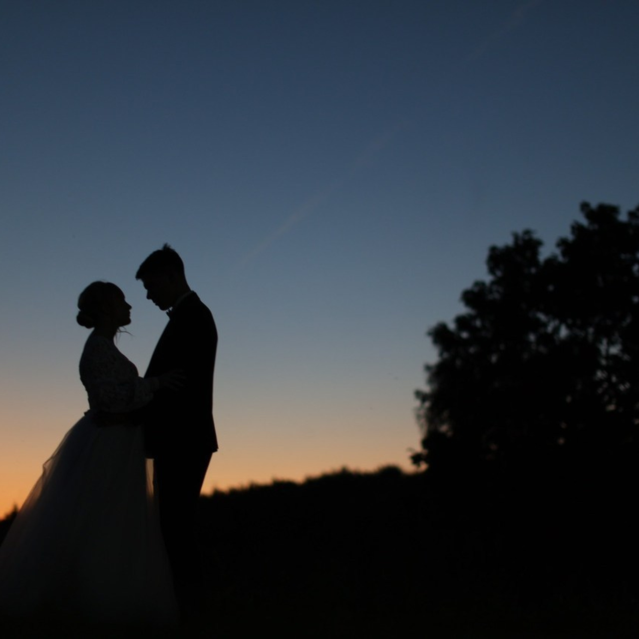 Отзывы фотограф Ярославль. Свадебный фотограф Ярославль Дмитрий Васячкин