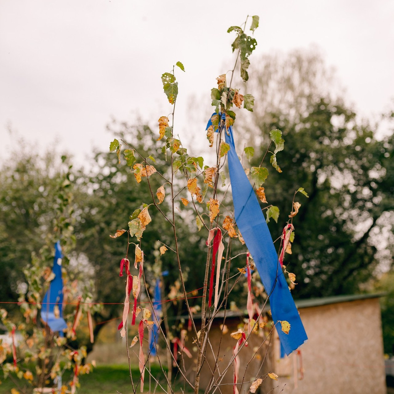 Отзывы. Фотограф в Смоленске и Москве Ирина Макарова