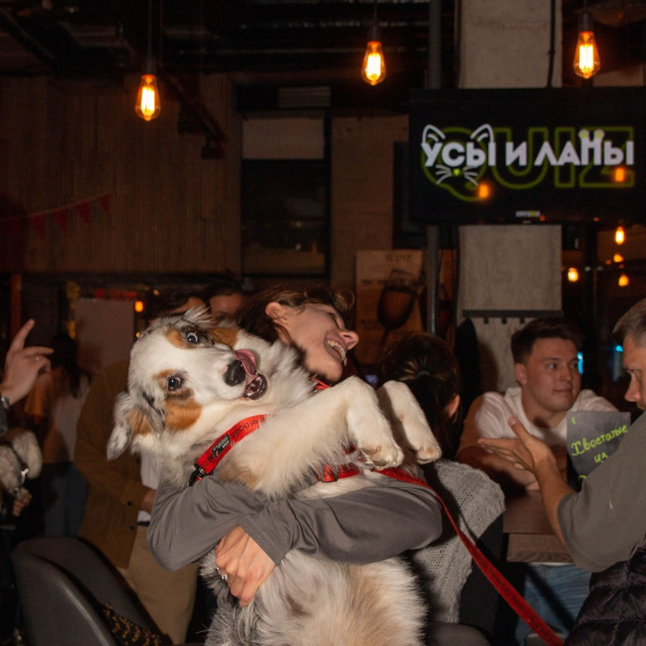 ☆Отзывы. КАРАМБОЛА: Организация праздников в Москве