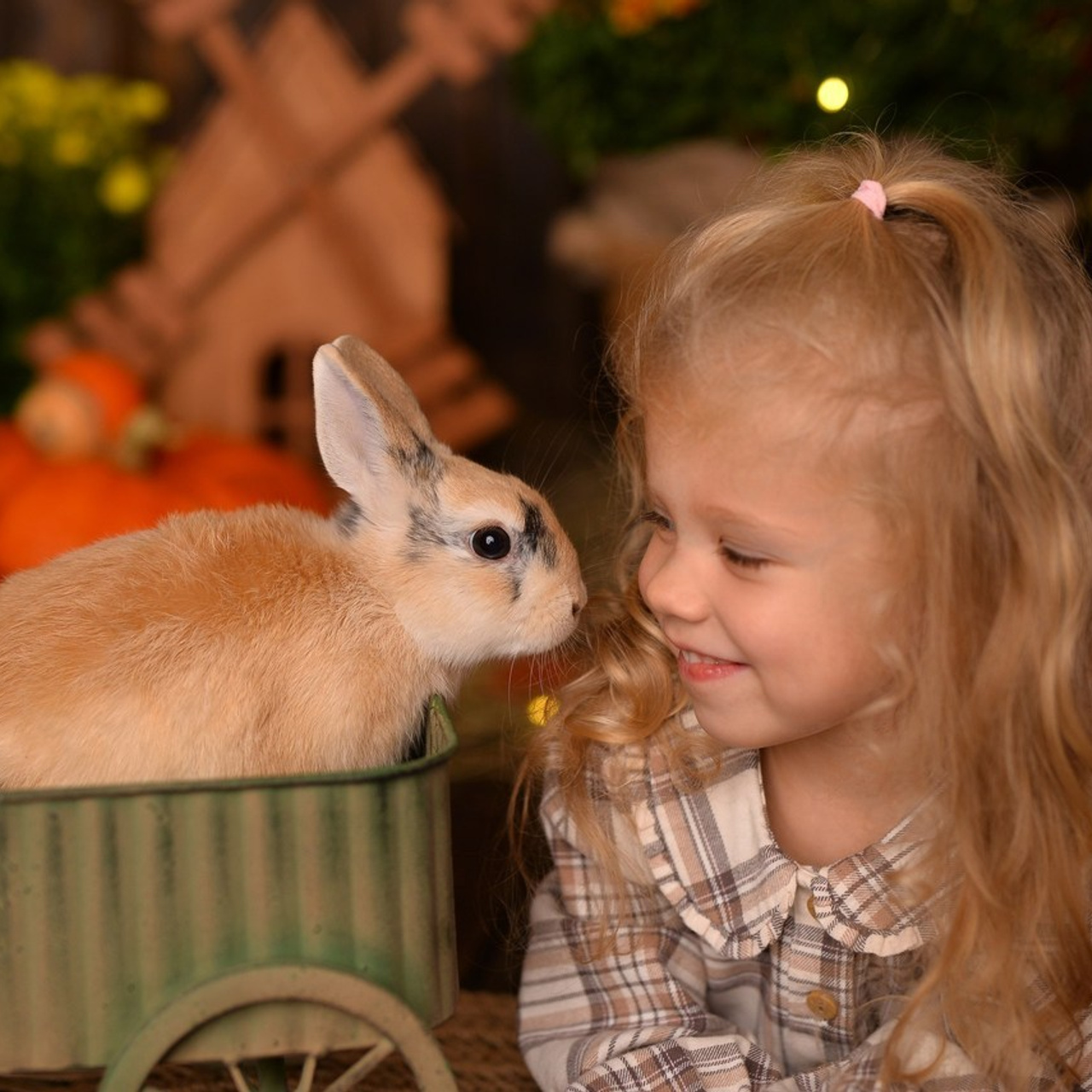 Отзывы. Детский и семейный фотограф Дарья Плеханова г Тверь