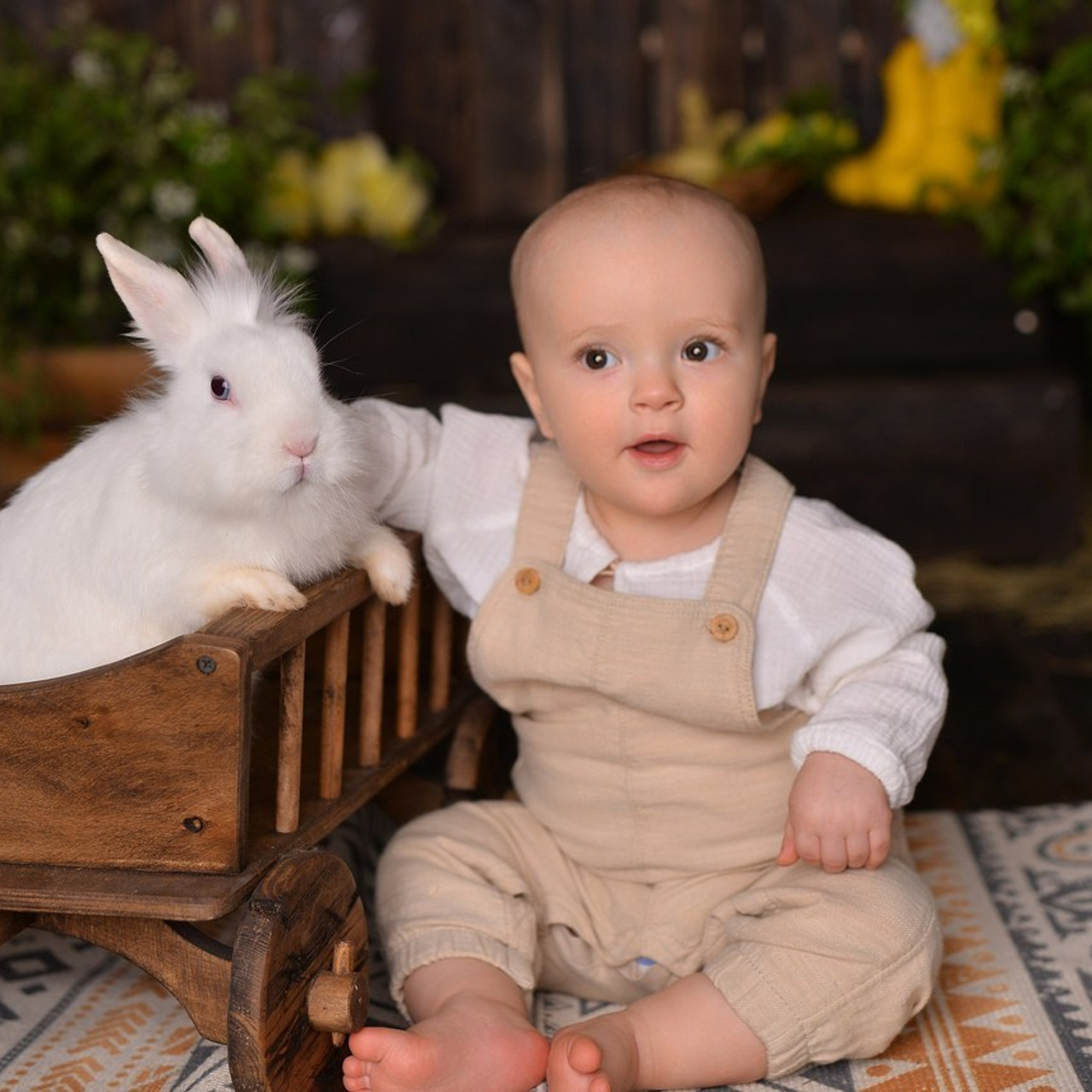 Отзывы. Детский и семейный фотограф Дарья Плеханова г Тверь