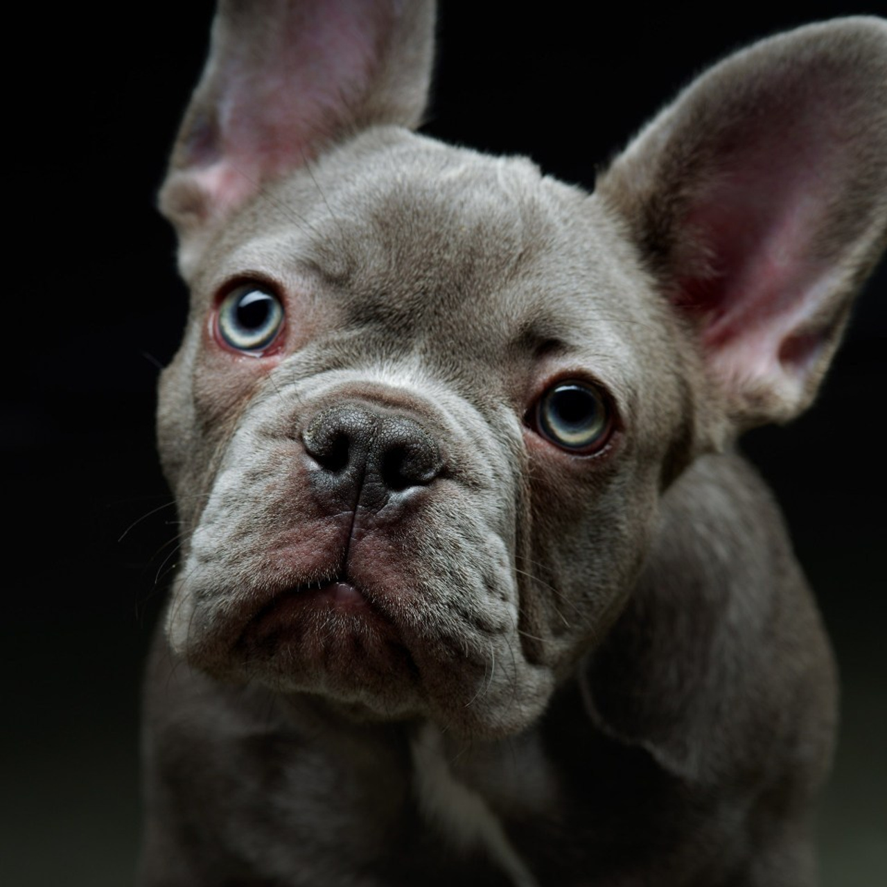 Отзывы. Фото & Видео студия XIMIYA