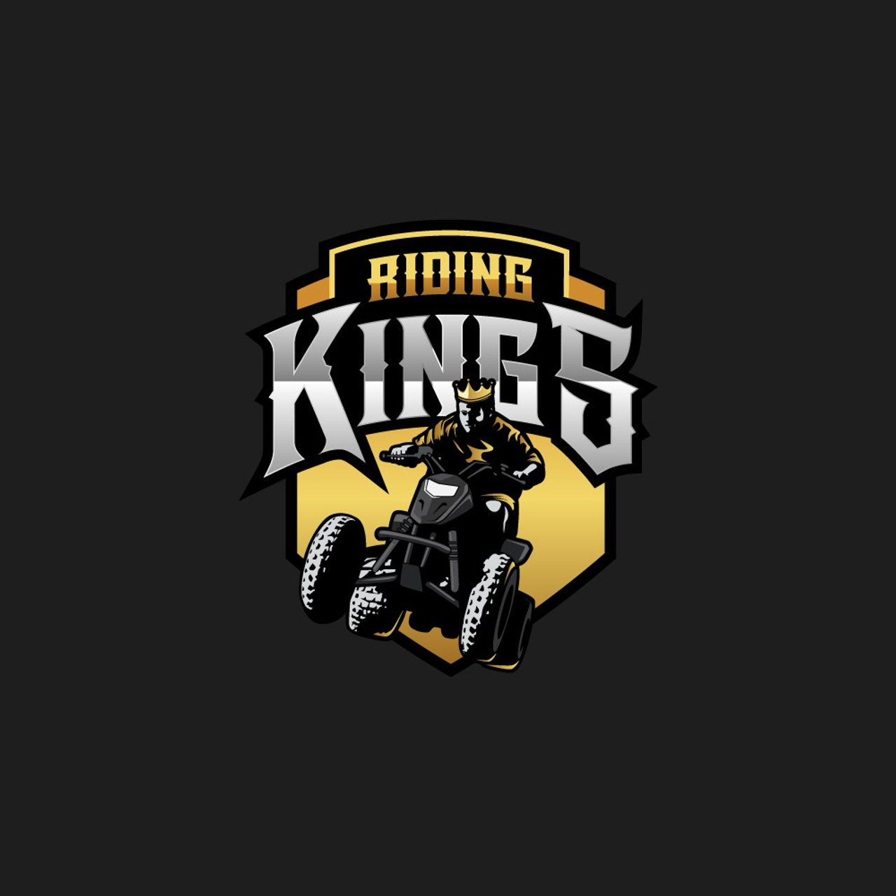 SPORT LOGOS. Графический дизайн, леттеринг, дизайн шрифтов