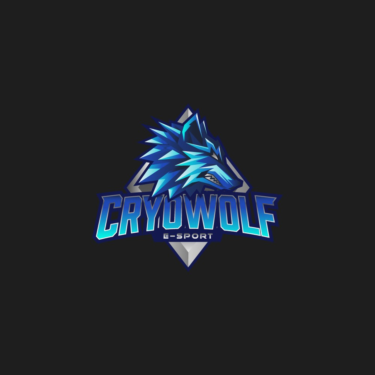 SPORT LOGOS. Графический дизайн, леттеринг, дизайн шрифтов