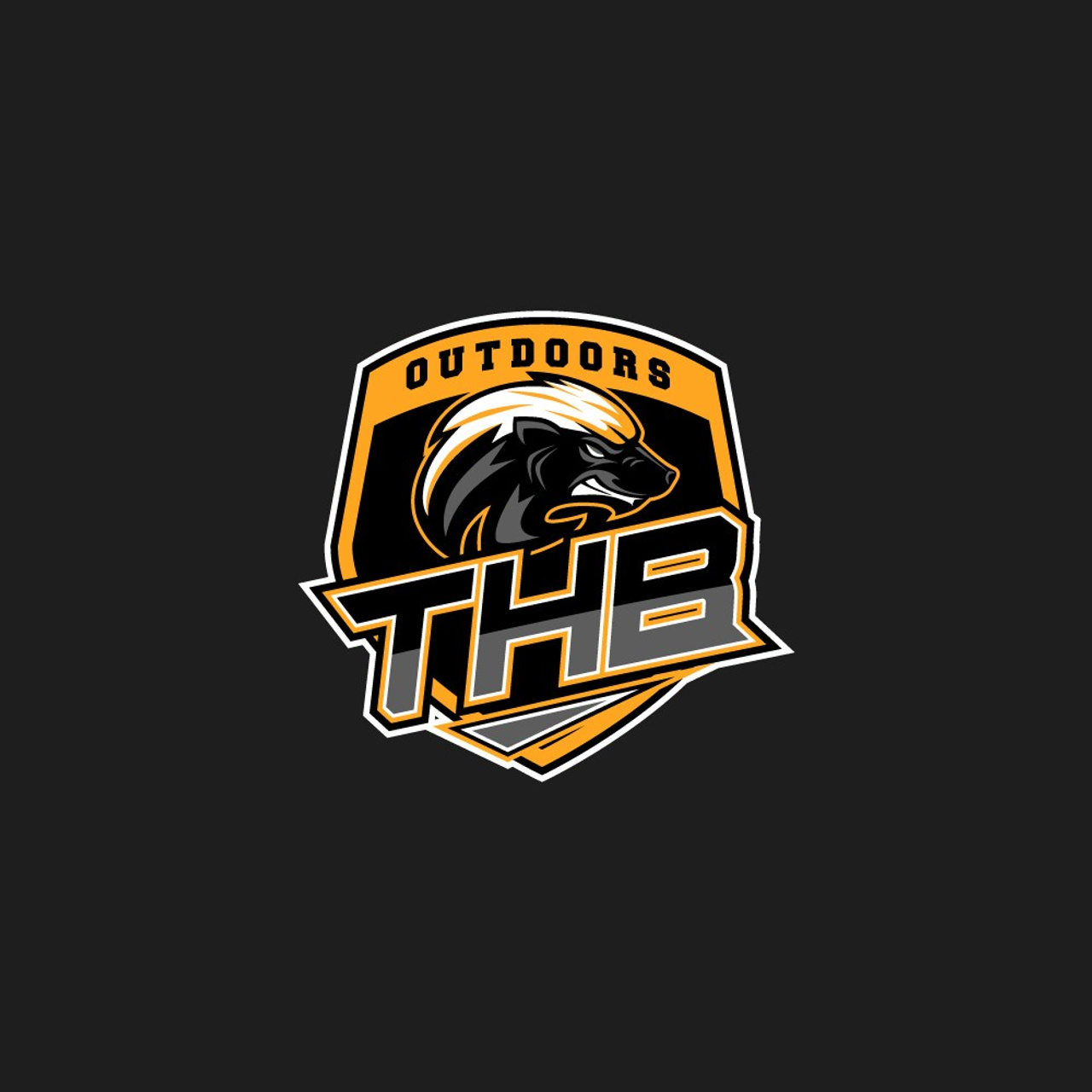 SPORT LOGOS. Графический дизайн, леттеринг, дизайн шрифтов