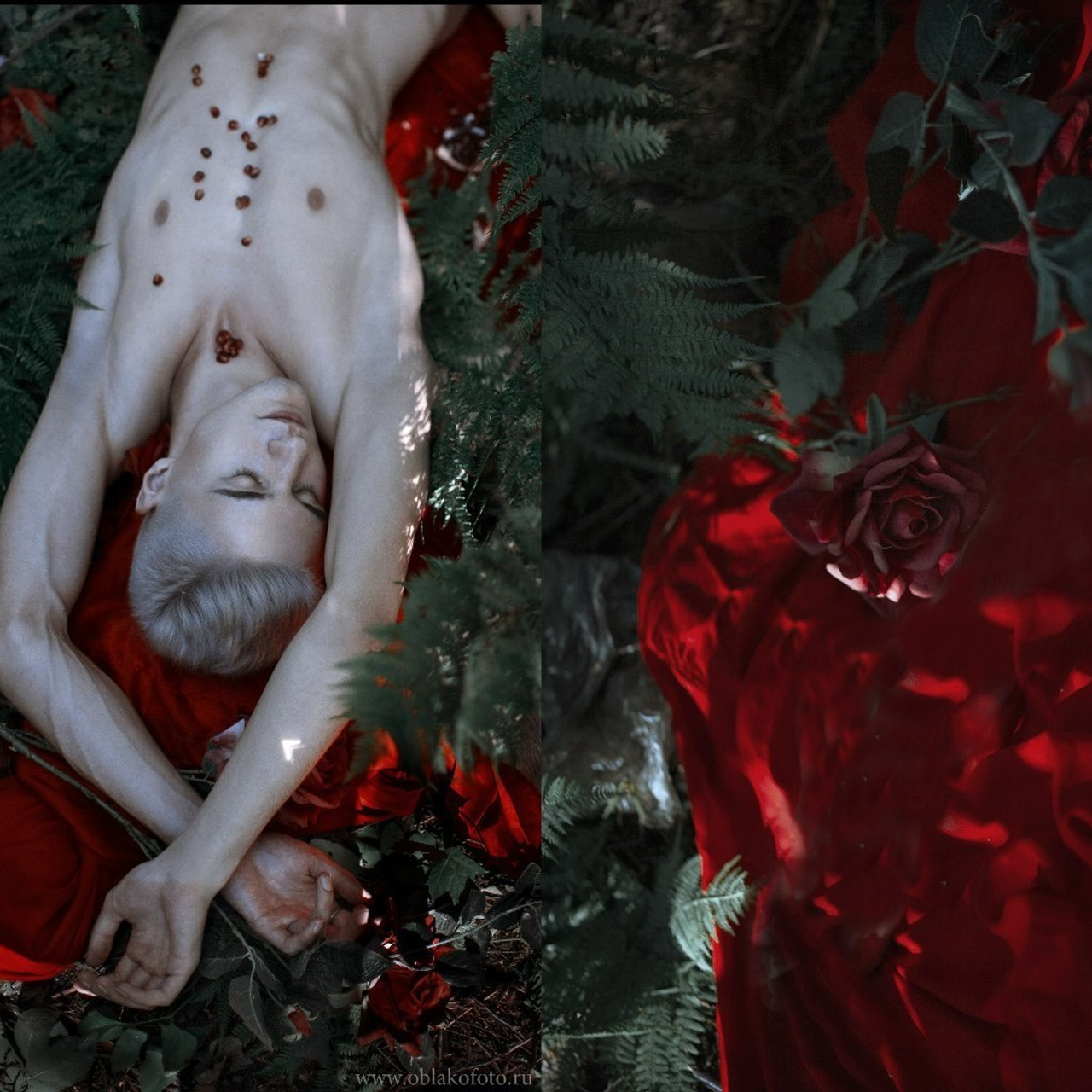 - снимаю на условиях TFP, провожу регулярные арт-ню воркшопы в СПБ  и. Фотограф Облако Александра