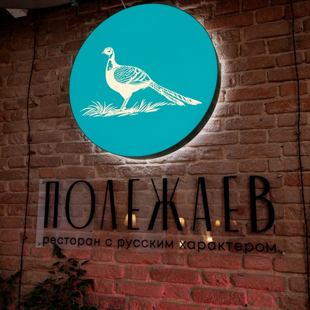 Отзывы. Дорогой друг! Приветствую тебя на моем сайте!