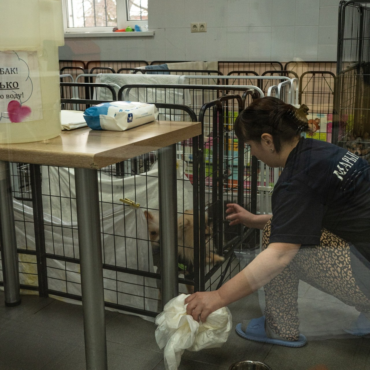 Отзывы. Алёна Орлова Портретный фотограф Москва