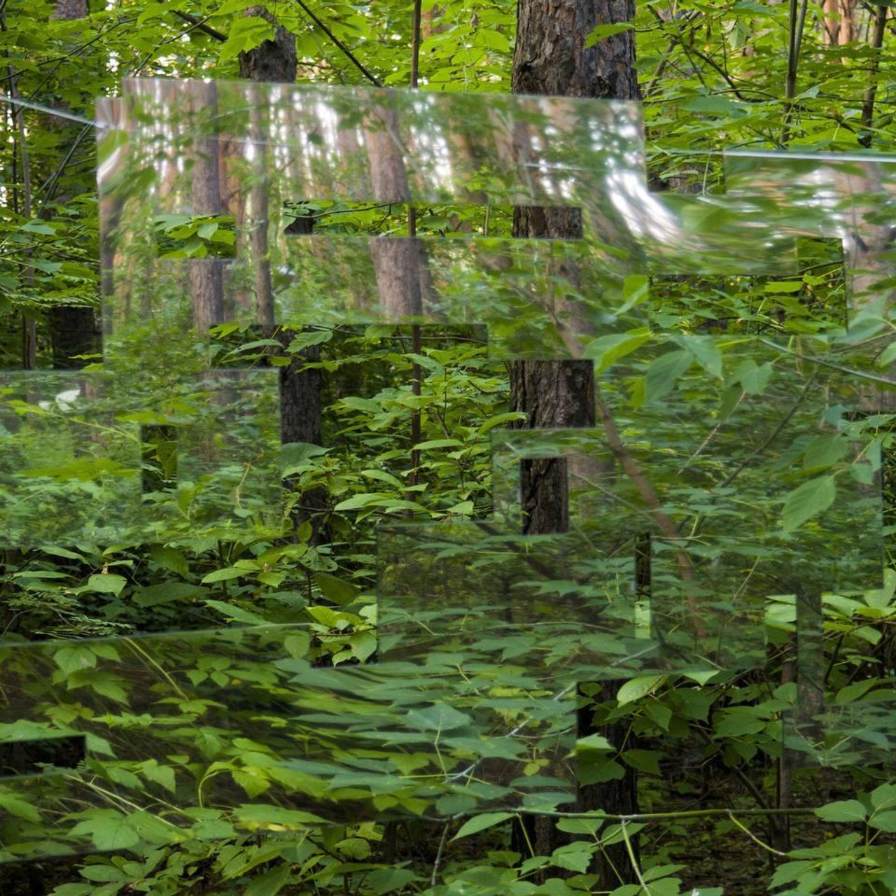 Вторая природа