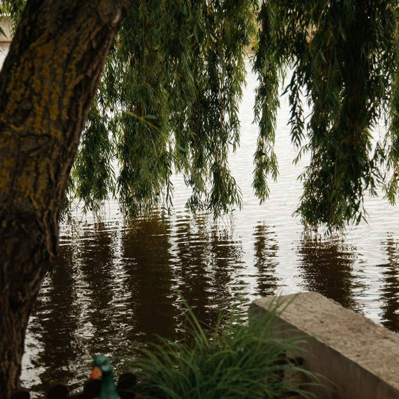 Отзывы. Свадебный и контентный фотограф в Краснодаре Алена Сидорова