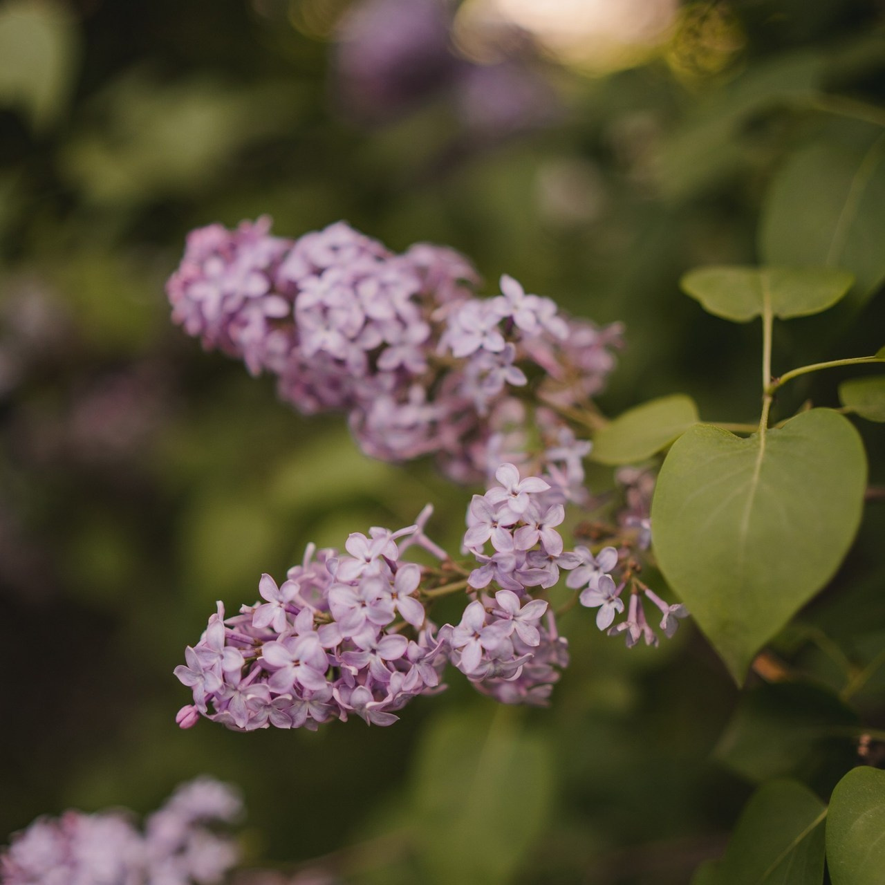 Отзывы. Фотограф Белорецк, Магнитогорск, Учалы, Уфа