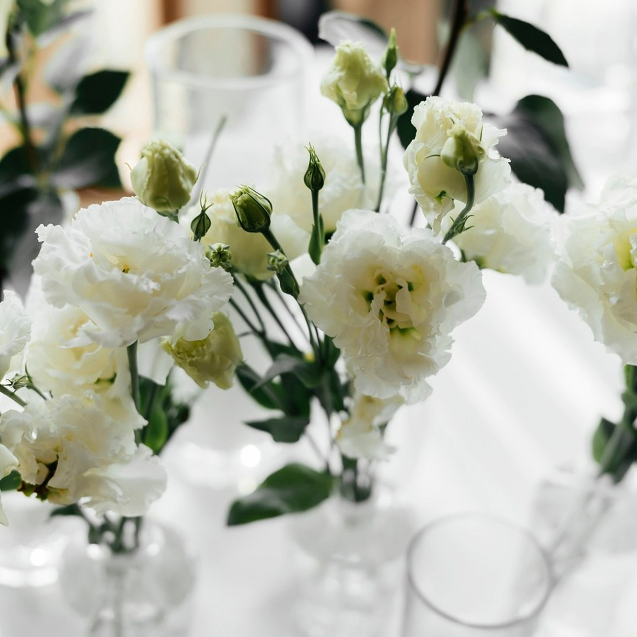 Отзывы. Свадебный и семейный фотограф в Воронеже Катя Кулеш