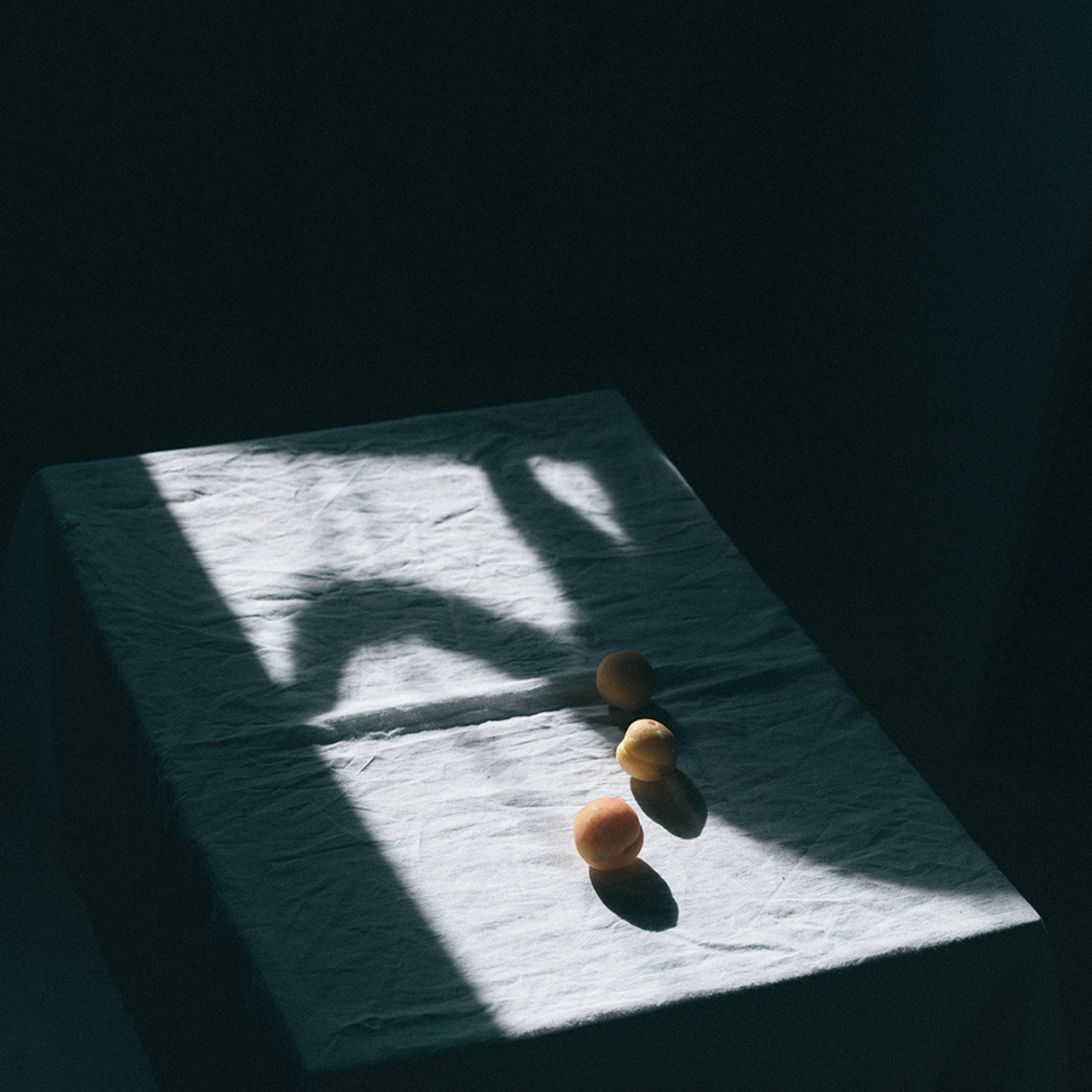 Серия с несколькими предметами. Фотограф Елена Хазина, Рязань