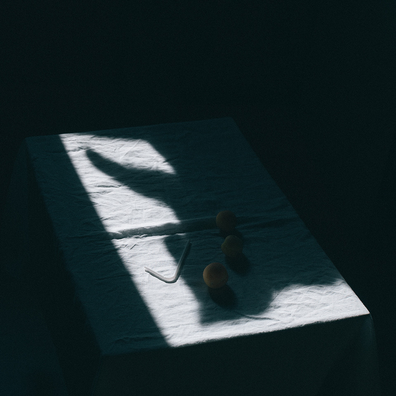 Серия с несколькими предметами. Фотограф Елена Хазина, Рязань