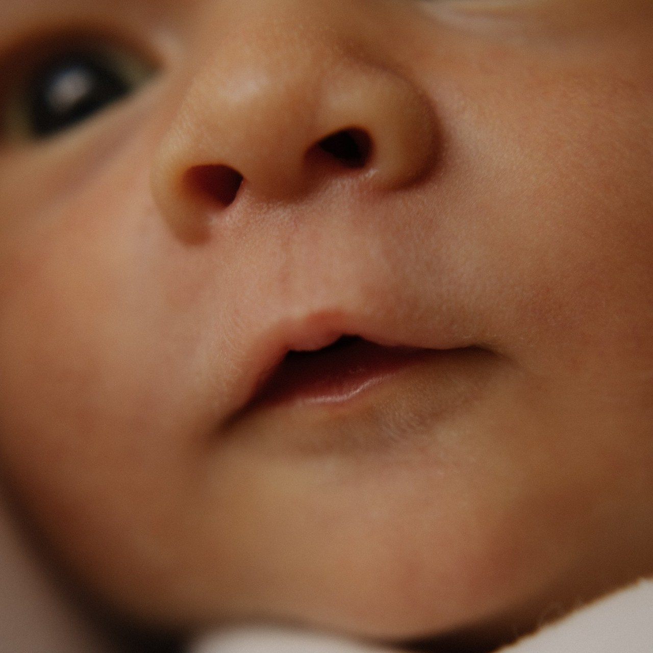 Отзывы. Семейный фотограф в Новосибирске Екатерина Лопатина