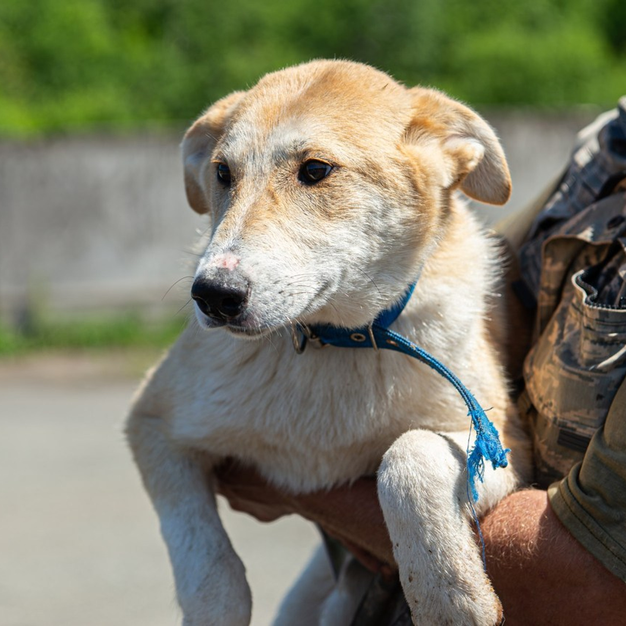 Отзывы. Фотограф на Камчатке Анна Моргачёва. Семейные и детские съёмки