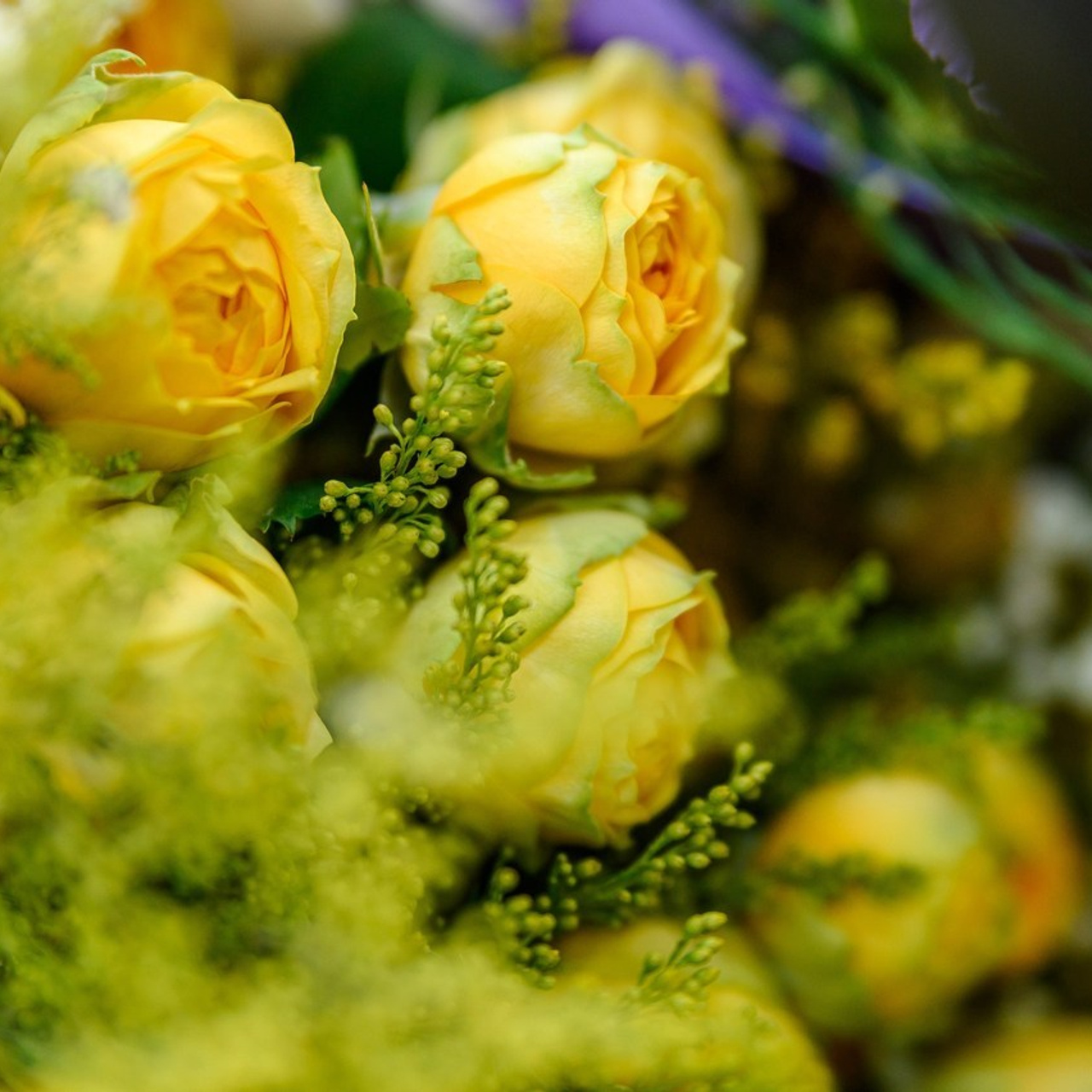 Отзывы. Фотограф Константин Калачёв