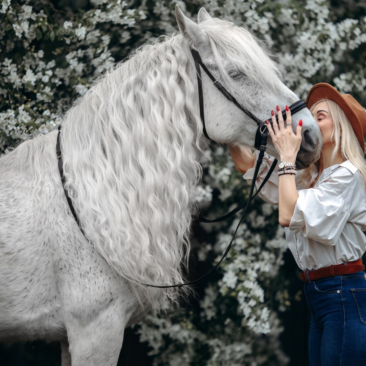 Отзывы. Анна Молчанова конный фотограф в Тюмени | фотосессии с лошадьми Тюмень