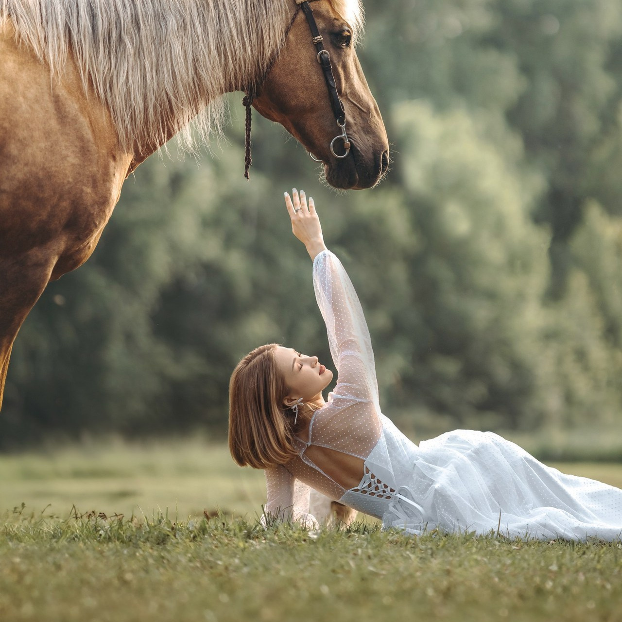 Отзывы. Анна Молчанова конный фотограф в Тюмени | фотосессии с лошадьми Тюмень