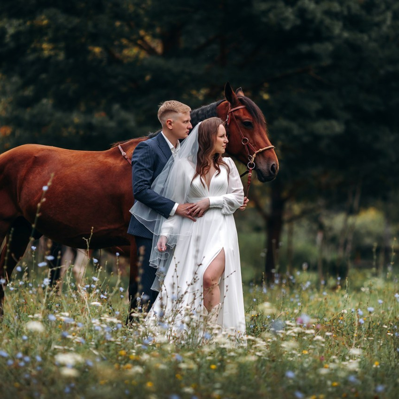 Отзывы. Анна Молчанова конный фотограф в Тюмени | фотосессии с лошадьми Тюмень