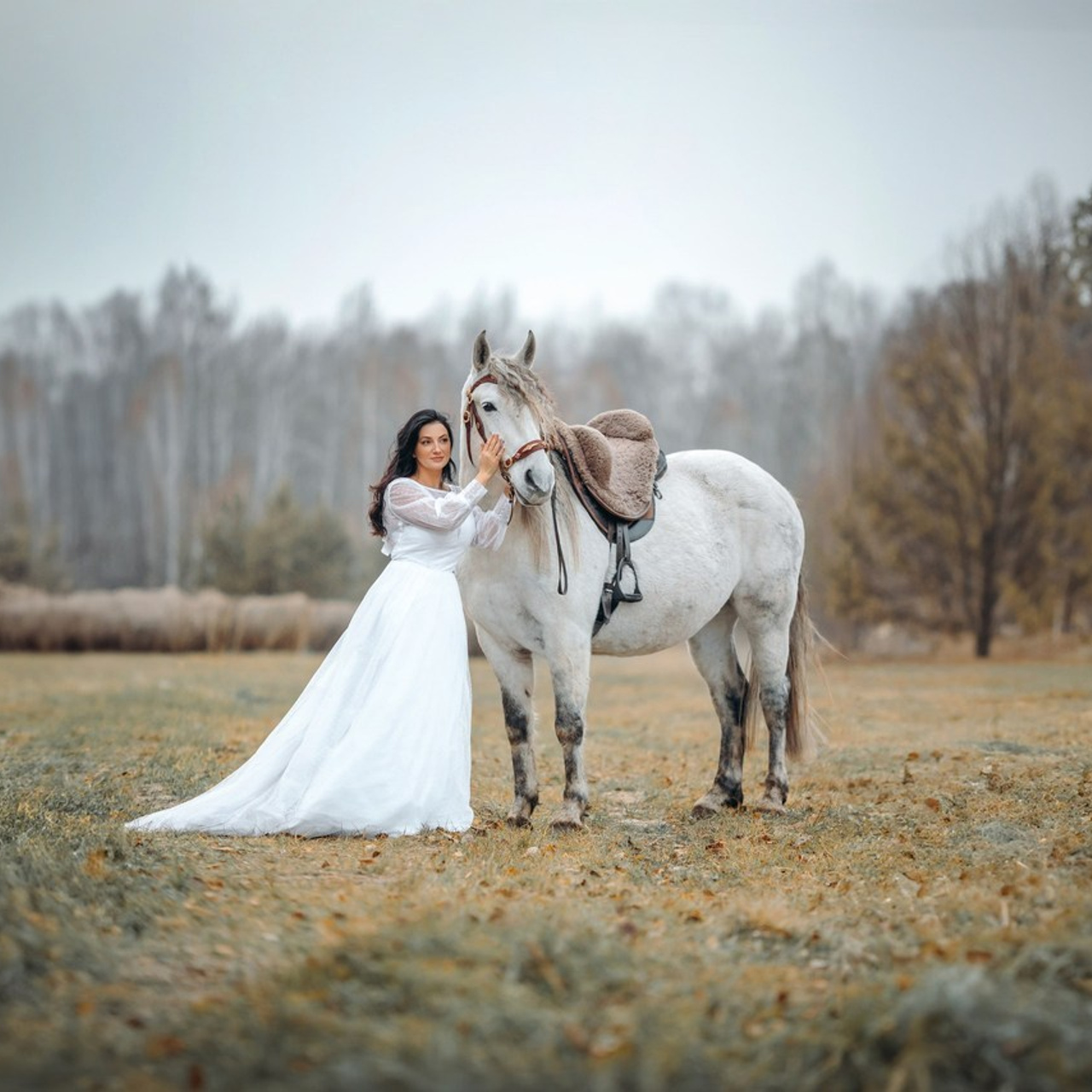 Отзывы. Анна Молчанова конный фотограф в Тюмени | фотосессии с лошадьми Тюмень