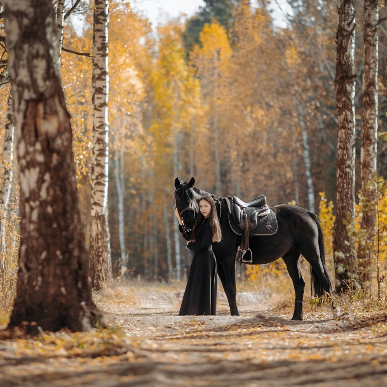 Отзывы. Анна Молчанова конный фотограф в Тюмени | фотосессии с лошадьми Тюмень