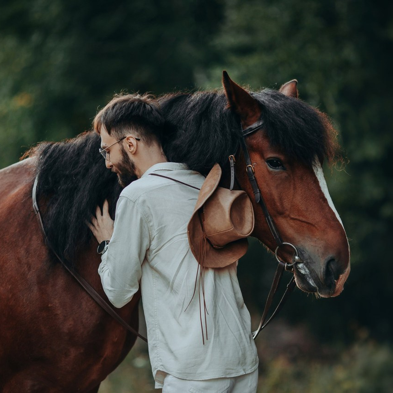 Отзывы. Анна Молчанова конный фотограф в Тюмени | фотосессии с лошадьми Тюмень