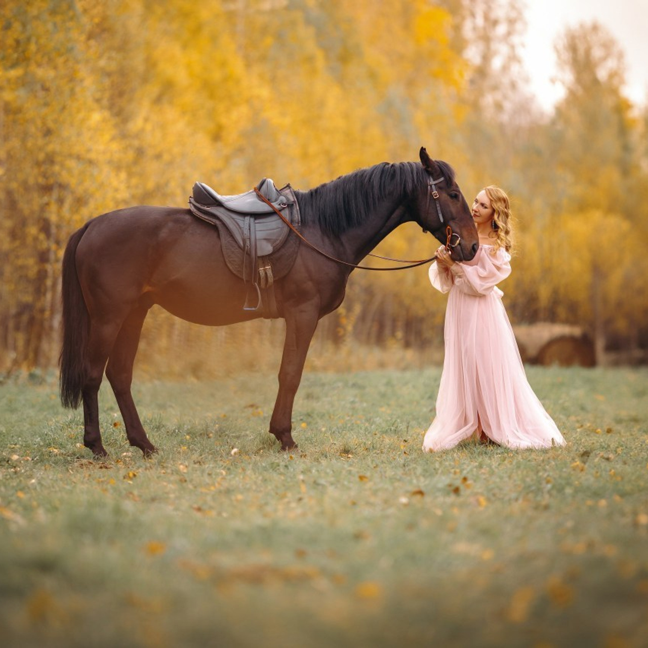 Отзывы. Анна Молчанова конный фотограф в Тюмени | фотосессии с лошадьми Тюмень