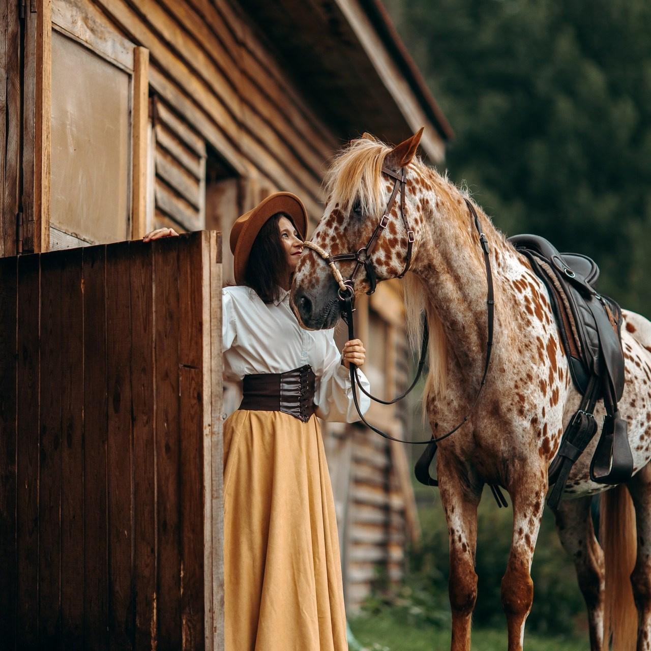 Отзывы. Анна Молчанова конный фотограф в Тюмени | фотосессии с лошадьми Тюмень