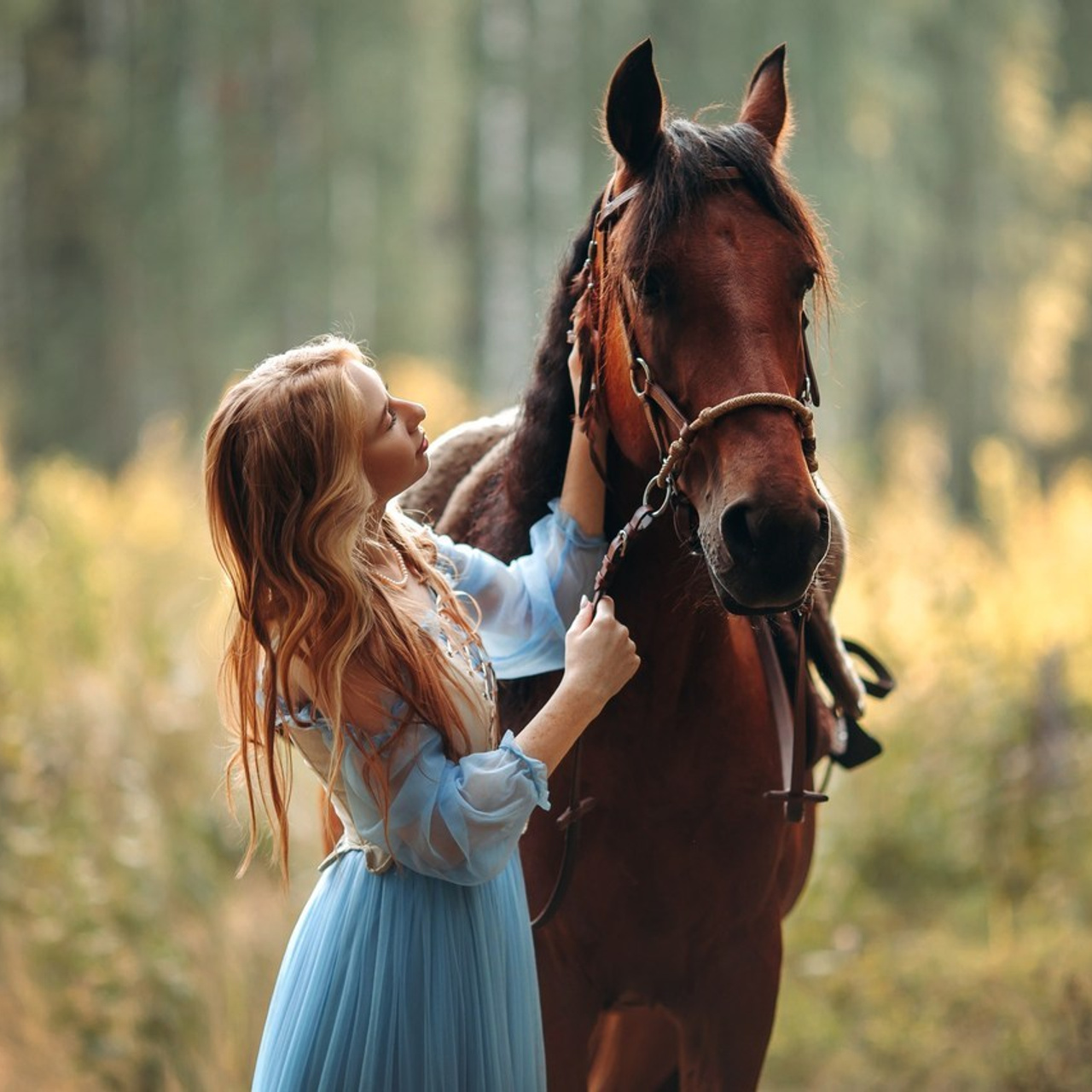 Отзывы. Анна Молчанова конный фотограф в Тюмени | фотосессии с лошадьми Тюмень