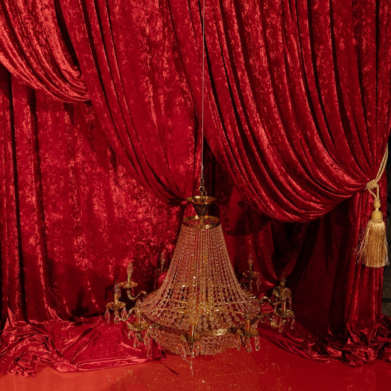 Отзывы. Коммерческий фотограф из Москвы Шафаростова Алёна