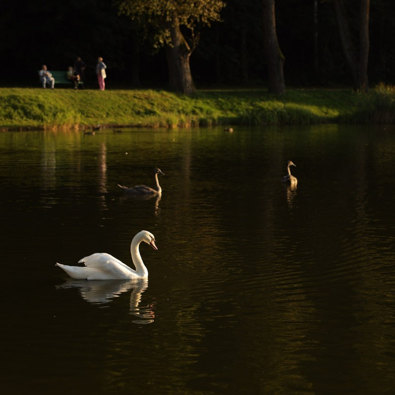 Отзывы. Cheta Kovalevsky фотографы