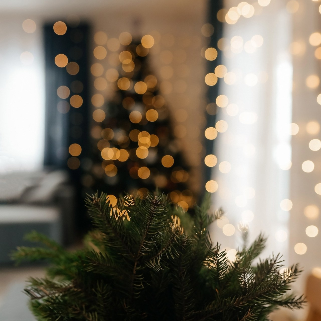 Ваши отзывы. Семейный фотограф Олеся Батурина Рязань