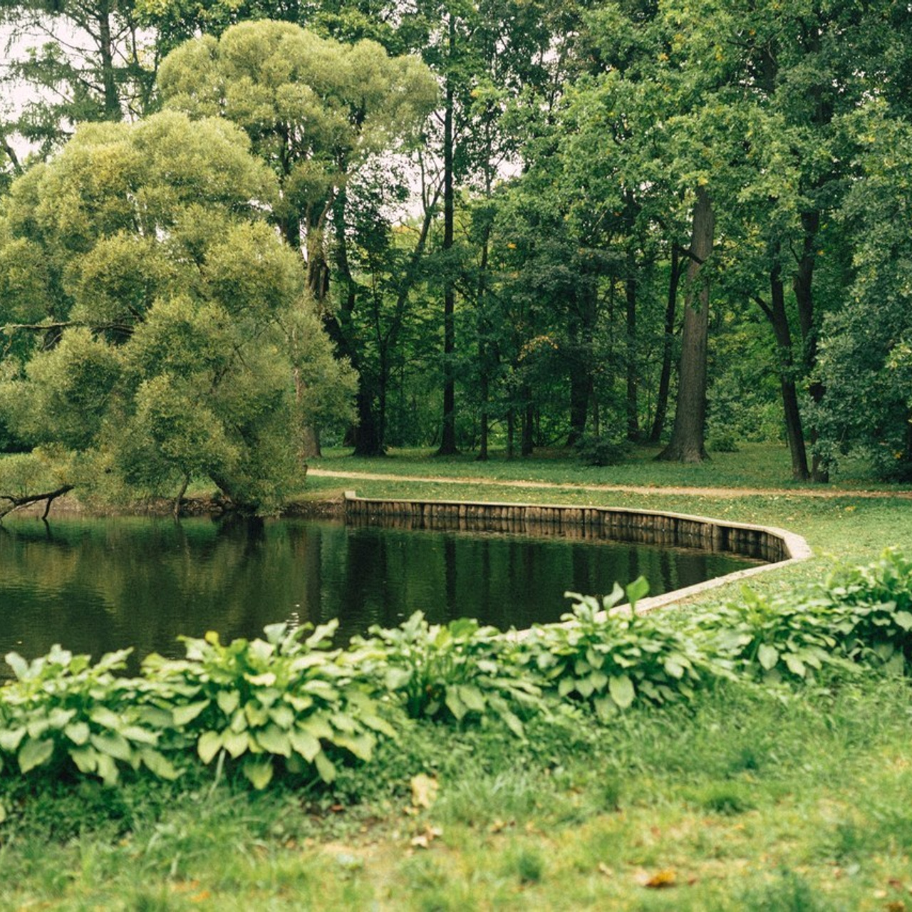 Отзывы. Фотограф в Санкт-Петербурге Шура Капустина