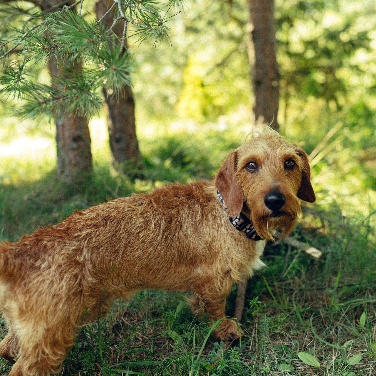 Отзывы. Фотограф в Санкт-Петербурге Шура Капустина