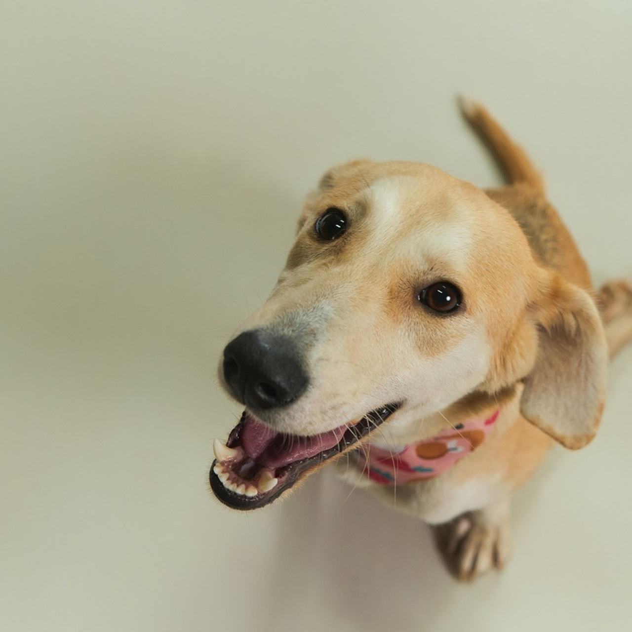 Стоимость. Кучерявая || Фотограф || Самара·Питер·Москва