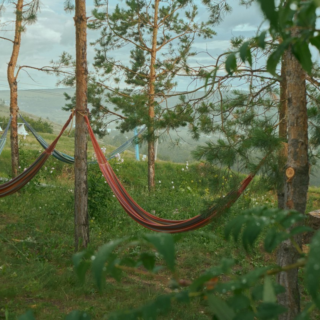 Отзывы. Кучерявая || Фотограф || Самара·Питер·Москва