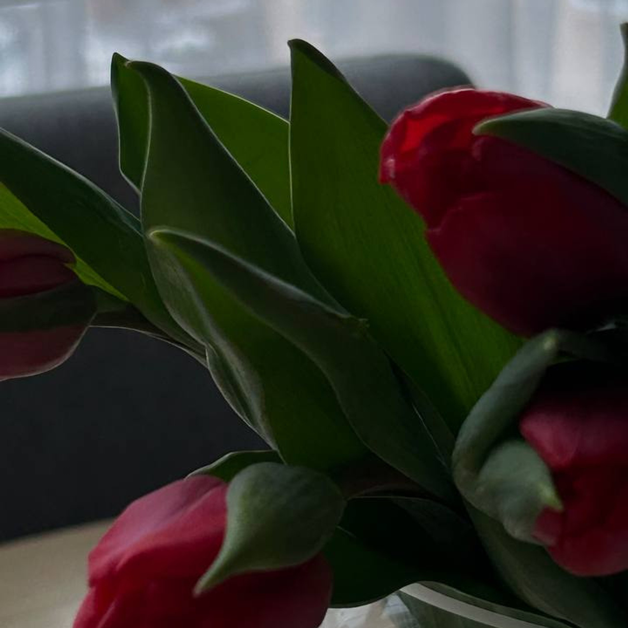 Отзывы. Свадебный фотограф Казань| Фотограф Казань Зевакина Анастасия