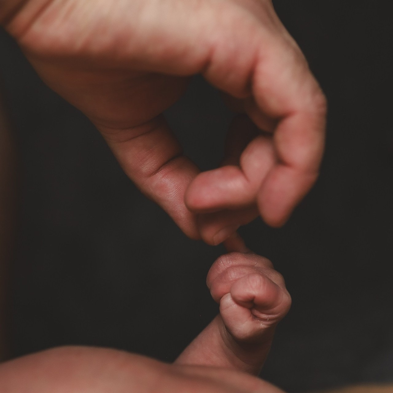 Отзывы. Женский Семейный фотограф Москва Евгения Рец