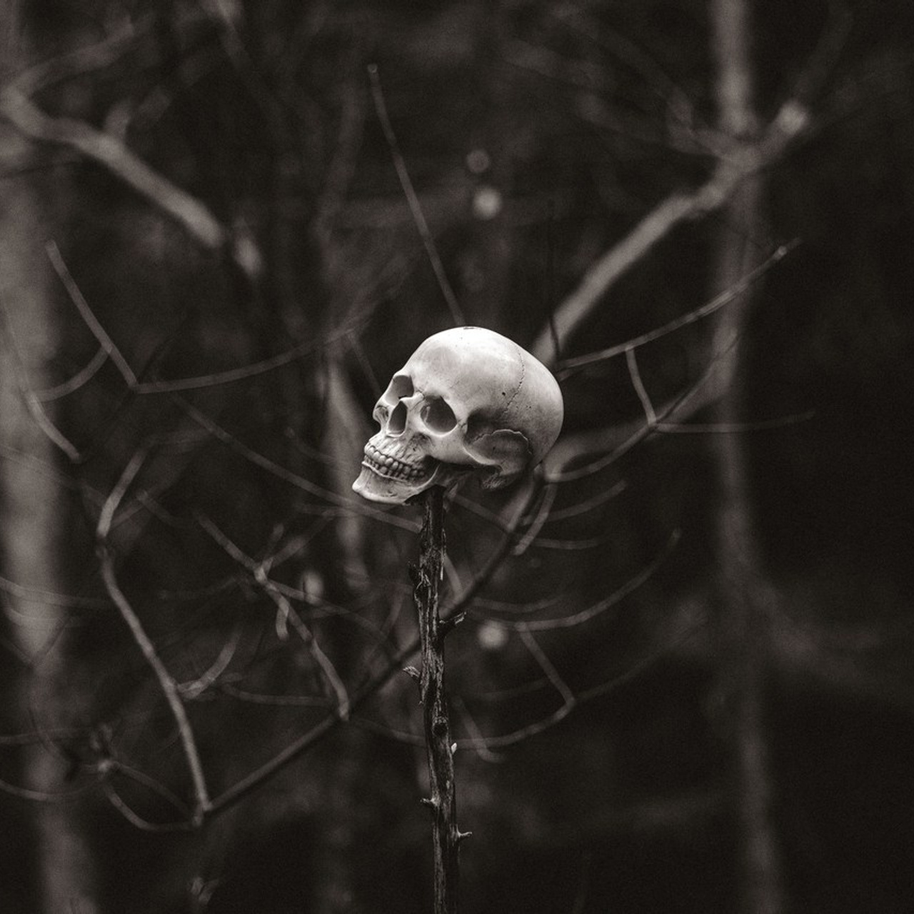 Отзывы. Фотохудожник из города Пскова