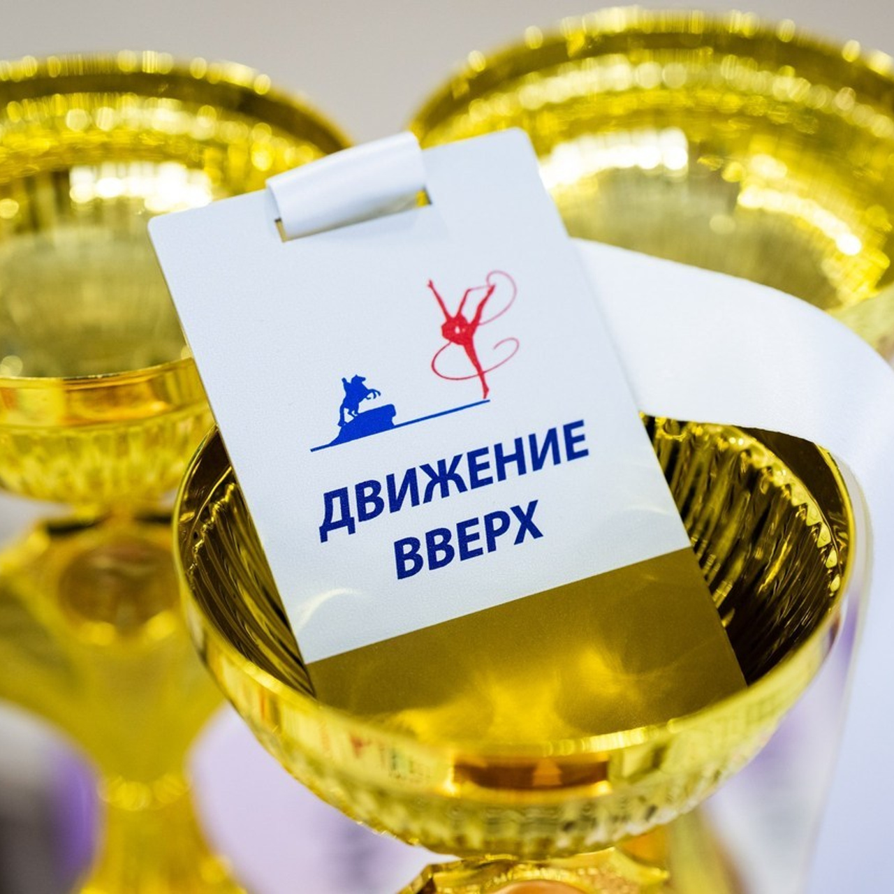 Отзывы. Спортивный и репортажный фотограф в Санкт-Петербурге Алексей Ковалев